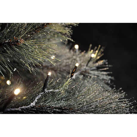 Micro LED kompakt System Basis-Set: 100 Warmweiße Dioden 31V IP44 an einem Tannenbaum mit Wassertropfen.