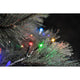 16m Micro LED kompakt System Basis-Set: 100 bunte Dioden 31V IP44 leuchtet an einem Baumzweig.