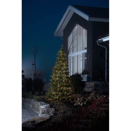 Micro LED System Erweiterung Lichterkette 100 Dioden Berstein IP44 erleuchtet einen Baum vor einem modernen Haus.