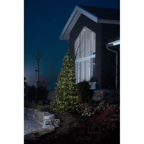 16m Micro LED kompakt System Erweiterung: Lichterkette 100 Warmweiße Dioden IP44 an einem beleuchteten Baum bei Nacht.