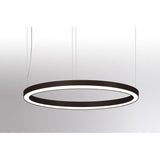 Rinq LED -ringlampa Ø 150 cm svart dali dimbar