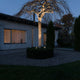 Monza LED Erdspießleuchten Set 2-tlg. 12V beleuchten einen Baum im Garten bei Nacht.