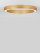Morbido LED Deckenleuchte Ø 80cm 2700, 4000K in Messing Gold – ringförmige Aluminium-Acryl Leuchte mit gleichmäßiger, blendfreier Beleuchtung