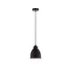 Neordic Pendelleuchte Hilla Ø 14cm in Schwarz, ideal für Pflanzenlicht und Innenraumgestaltung.