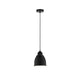 Pendelleuchte Neordic Hilla Ø 14cm in Schwarz, ideal für Innenräume und Pflanzenbeleuchtung.