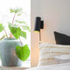 Alanis Wand Strahler an einer Wand neben einer Zimmerpflanze und einem Bett