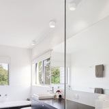 LED Ceiling Light Fallon White &amp; Brushed Steel