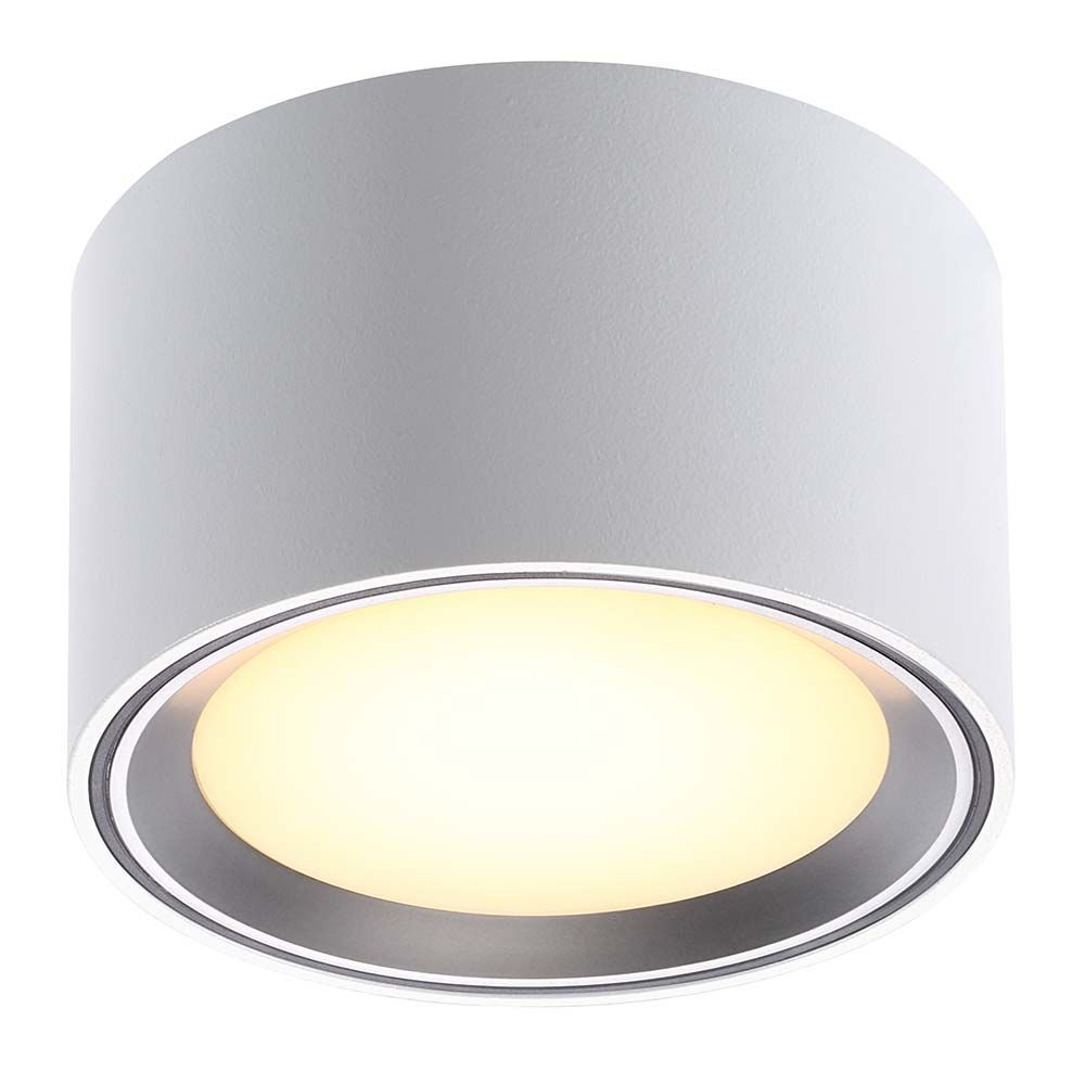 LED Ceiling Light Fallon White &amp; Brushed Steel