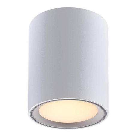 LED Loftslampe Fallon hvid, børstet stål i moderne design, ideel til stuer.
