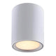 LED Deckenlampe Fallon Weiß, Gebürsteter Stahl in modernem Design, ideal für Wohnräume.