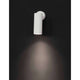Dexter Spot Wandlampe