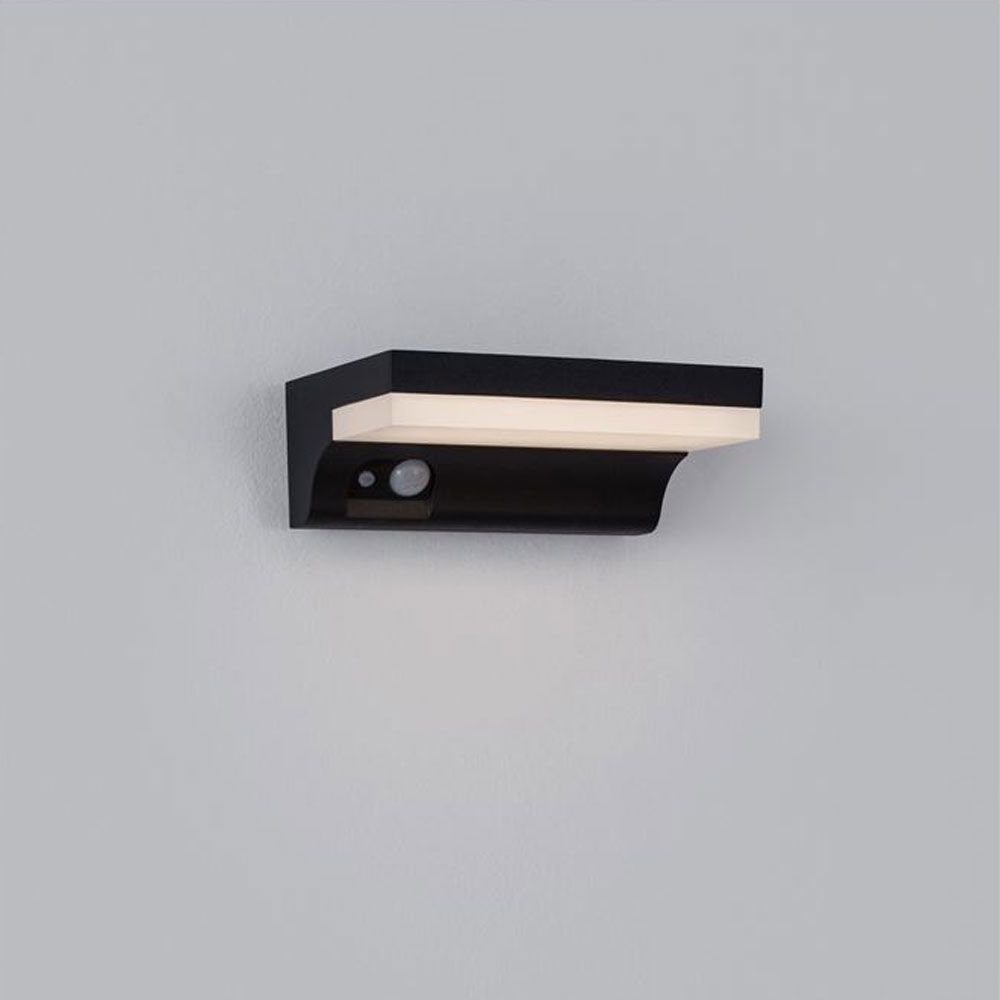 Dyn Wall Solar Light with Motion Detector