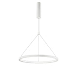 Empatia LED hanging light metal dimmable