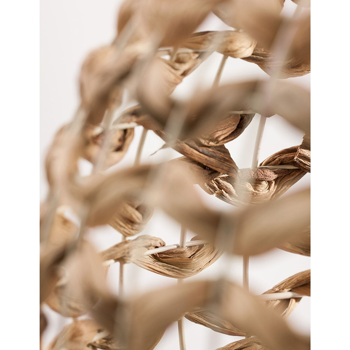 Lampada a sospensione Nova Luce Griffin in giacinto d’acqua essiccato in beige naturale, diametro 50,5cm, dettaglio