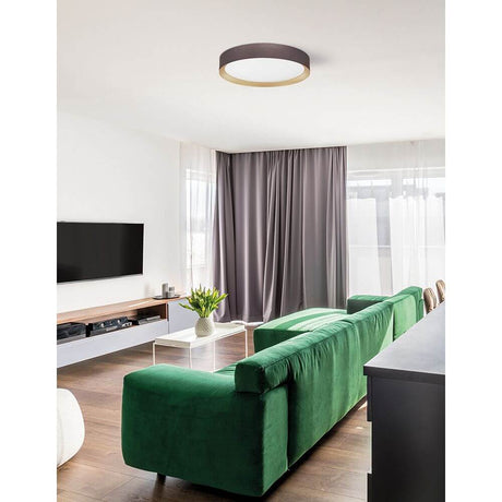 Luton LED Deckenleuchte Ø 55cm in modernem Wohnzimmer mit grünem Sofa, warmweißes LED-Licht, minimalistisches Design