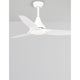 Samoa LED Fan Metal