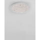 Wing LED Deckenlampe Metall, Glas - eleganter Plafond mit integrierter LED-Beleuchtung in klarem Glas.