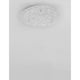 Wing LED Deckenlampe Metall, Glas in elegantem Design mit klarem Glas und LEDs für optimale Lichtverteilung.