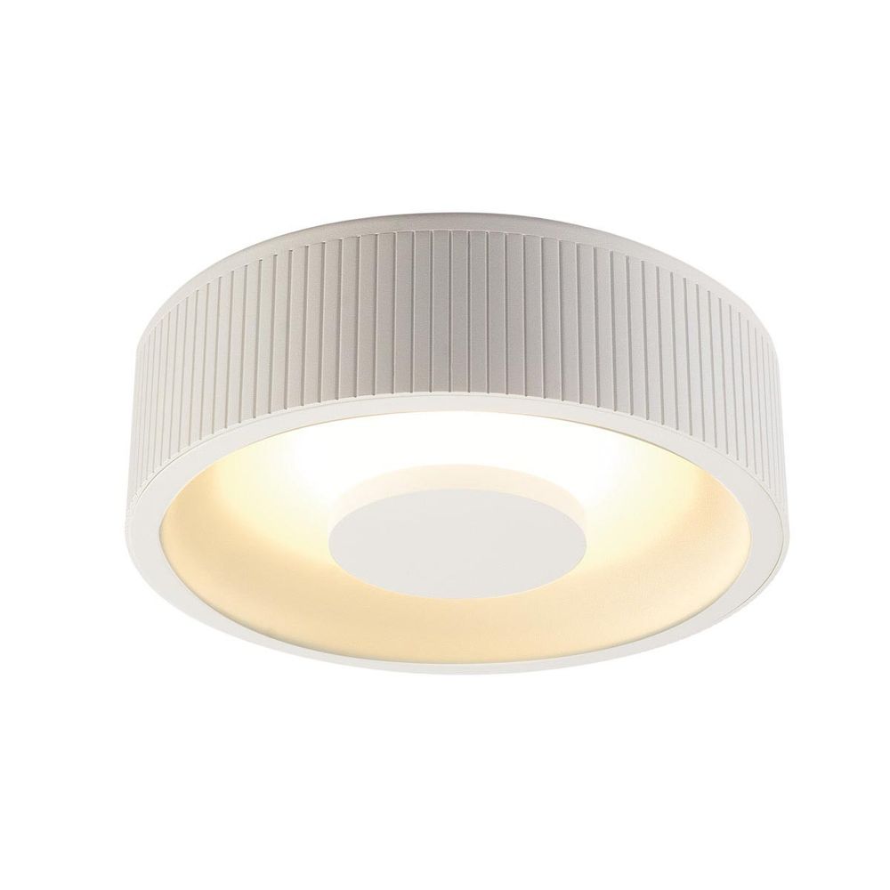 Lampe à plafond LED d'Occulda autour de White 3000K