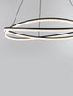 Ofelia LED Pendelleuchte 2-flammig Ø 95cm 3000K in elegantem Design mit geschwungenem Rahmen.