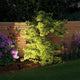 LED Plug & Shine Außenstrahler Sting 100° IP67 3000K Anthrazit beleuchtet eine Pflanze im Garten.