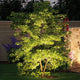 LED Plug & Shine Außenstrahler Sting 100° IP67 3000K Anthrazit beleuchtet einen Baum im Garten.