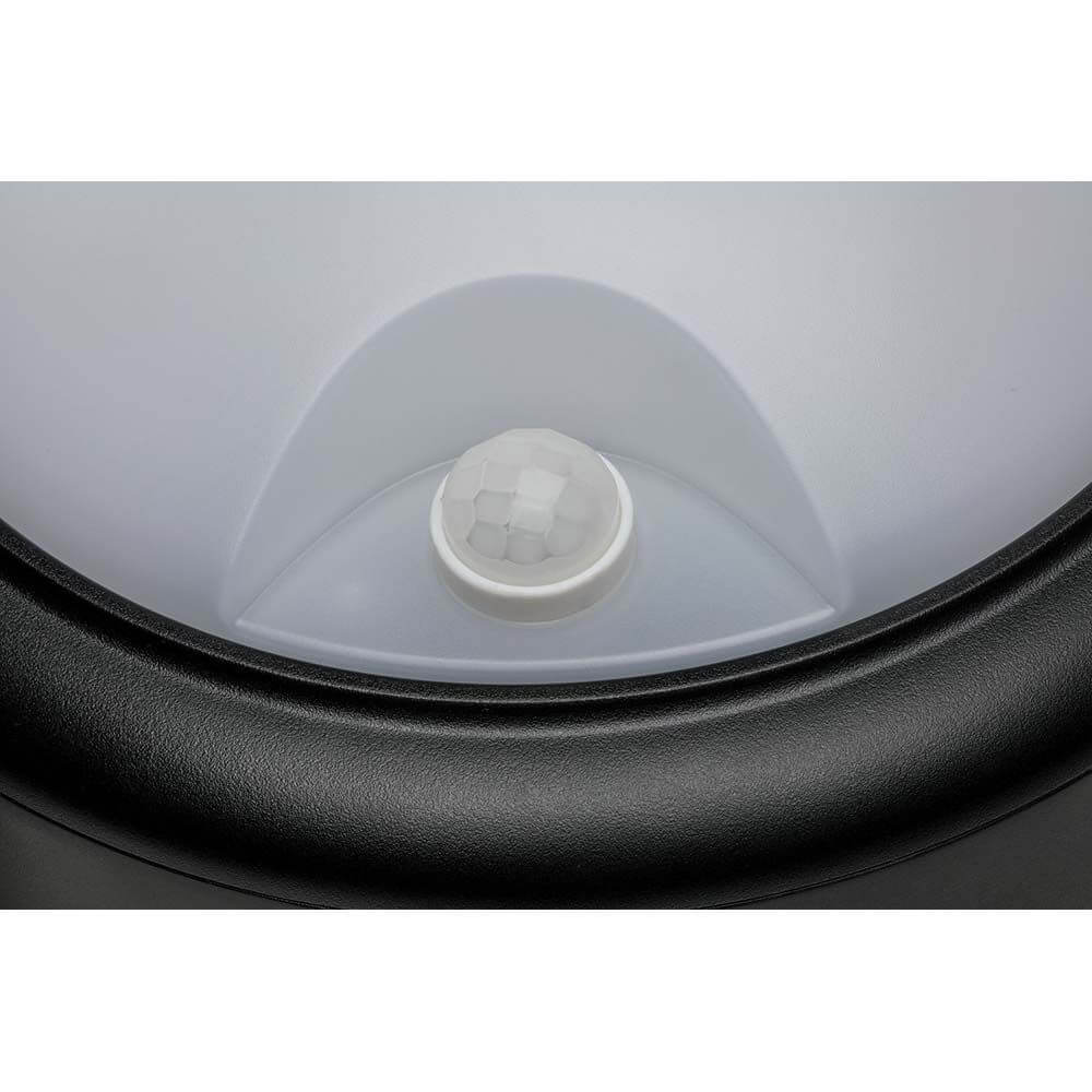 Rilevatore di movimento della lampada a parete esterna IP44 Ø 18 cm Antracite