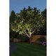 LED Plug & Shine Außen-Einbauleuchte IP67 24V 609lm 3000K beleuchtet einen Baum im Garten bei Nacht.