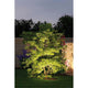 LED Plug & Shine Spot Sting Basisset Dimmbar IP67 24V 3000K 3x6W beleuchtet einen Baum im Garten.