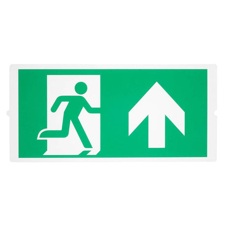 P-Light Emergency Series Standard Signs For Areal Light Green mit Fluchtsymbol und Pfeil nach oben.