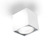 Panzeri Two LED Luminaire apparent Spot