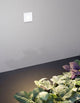 Passagio LED Außenwandeinbauleuchte Quadratisch Rund 3000K Weiß IP54 an einer Wand mit grünen Pflanzen.