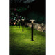 Plug & Shine LED Pollerleuchte Plate Anthrazit im Garten, beleuchtet Wege und Plätze bei Nacht.