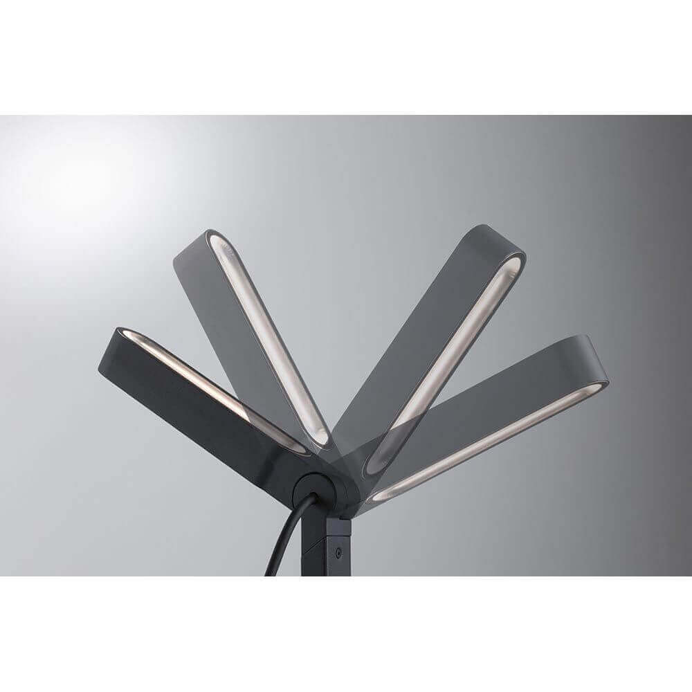 Plug & Shine LED single spotlight Ito Anthracite IP65