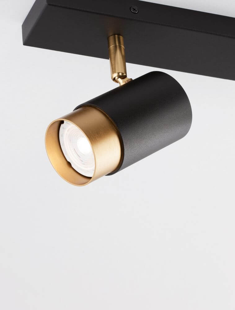 Pogno Deckenleuchte 2-flammig Schwarz, Gold mit schwenkbarem Spot und modernem Design.
