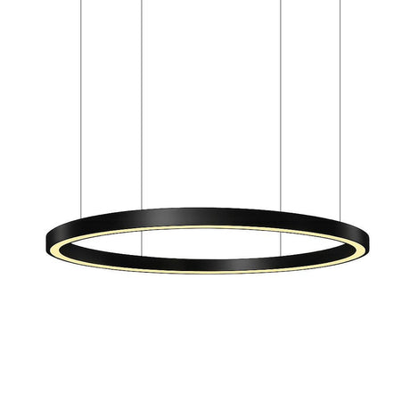 Pro Light LED Ring Pendelleuchte mit integrierter Pflanzenwanne - Sonderbau nach Maß