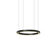 Pro Light LED Ring Suspension lumineuse avec bac à plantes intégré – Fabrication sur mesure 