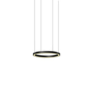Pro Light LED Ring Pendelleuchte mit integrierter Pflanzenwanne - Sonderbau nach Maß Ø 85cm, schwarze Designleuchte
