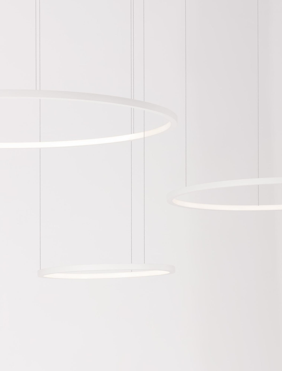 Purple LED Pendelleuchte 3-flammig Ø 130cm 3000K (7)
