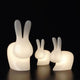 Rabbit LED Dekolampe in verschiedenen Größen, aus Kunststoff, für farbenfrohe Gartenbeleuchtung.