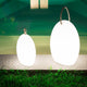 RGB-LED utendørs batterilampe Amande Corde 28 cm med app-styring i oval form ved vannet med grønt gress.