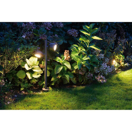 Sitra 360 SL Spike Outdoor spike light with two lights, anthracite, in the garden with plant lighting.