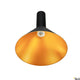 Phelia 275 E27 Pendellampe Schwarz, Gold mit elegantem design und goldfarbener Innenseite für stilvolle Beleuchtung.