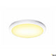 Ruba Outdoor LED Wand- & Deckenaufbauleuchte Weiß CCT, flache moderne Leuchte für den Außenbereich.