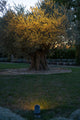 Les Jardins Solarstrahler Oje Grau (3)
