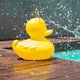 Schwimmfähige Akku-LED-Leuchte Duck-Duck S in Gelb, spritzend neben einem Pool.
