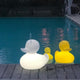 Schwimmfähige Akku-LED-Leuchte Duck-Duck in Gelb und Weiß am Pool, ideal für Gartenpartys und stimmungsvolle Beleuchtung.