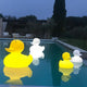 Schwimmfähige Duck-Duck Akku-LED-Leuchten schwimmen im Pool, ideale Beleuchtung für Gartenpartys.