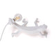 Seletti Chameleon Going Down LED Wandlampe USB Weiß - weiße Chamäleon Tischleuchte aus Harz mit USB und sichtbarer LED-Glühbirne