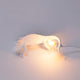 Seletti Chameleon Going Up LED-Wandleuchte USB Weiß – weiße Chamäleon-Wandleuchte mit sichtbarer Glühbirne und USB-Kabel, Design von Marcantonio Raimondi Malerba